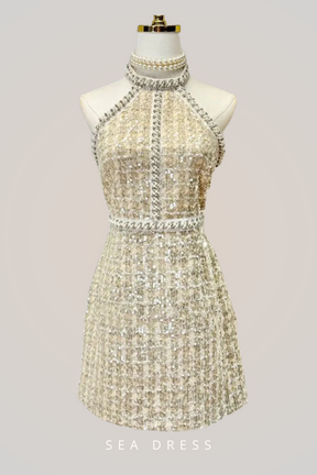 Vestido Mini Sem Mangas de Tweed Pequeno – Vestido de Noite Elegante e Luxuoso com Pérolas e Lantejoulas