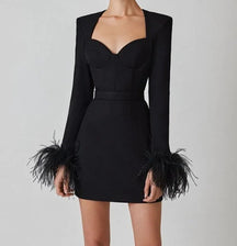 Vestido de Manga Longa com Plumas – Elegância e Sensualidade