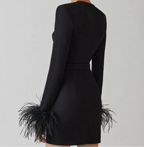 Vestido de Manga Longa com Plumas – Elegância e Sensualidade