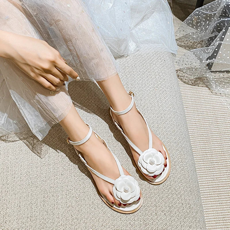 48434377359646|48434377392414|48434377425182|48434377457950|48434377490718|48434377523486|48434377556254|48434377589022|48434377621790